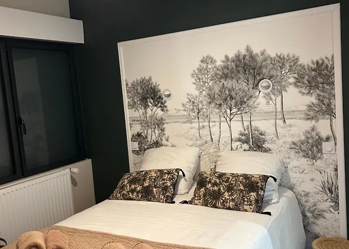 Cocooning Centre Des Sables D'olonne Quartier Gare Saint Michel Située à 1 Kilomètre Du Remblai Couette-café Les Sables-dʼOlonne