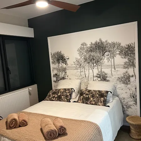 Cocooning Centre Des Sables D'olonne Quartier Gare Saint Michel Situee A 1 Kilometre Du Remblai לינה וארוחת בוקר Les Sables-dʼOlonne